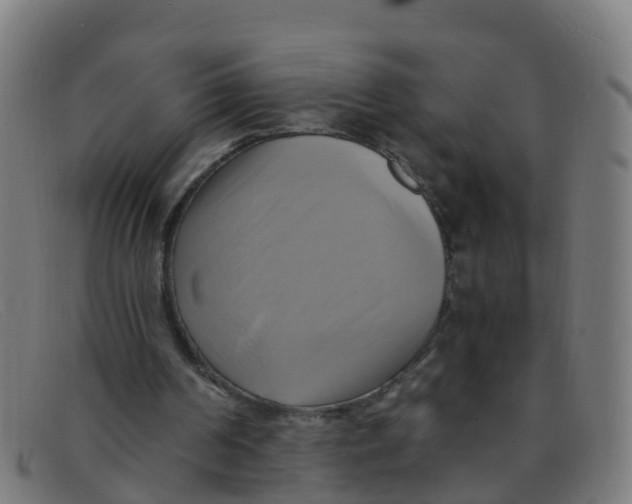 X0000091500194200709131857