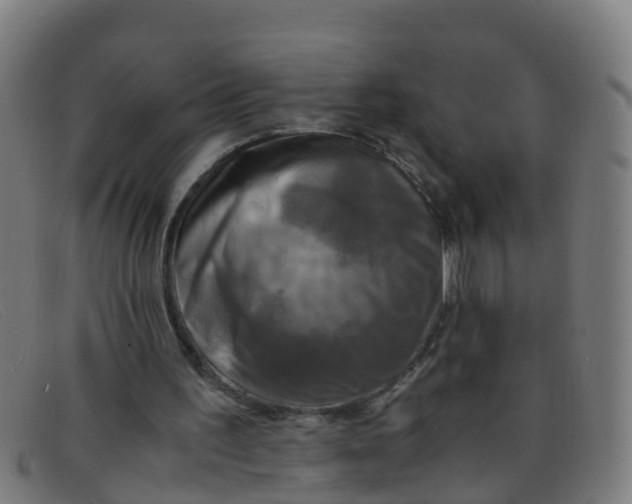 X0000091500195200709131857