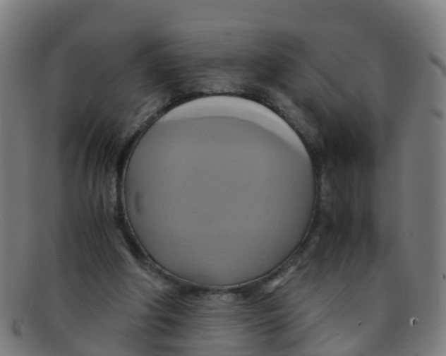 X0000091500202200709131857