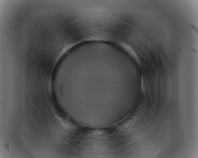 X0000091500204200709131857