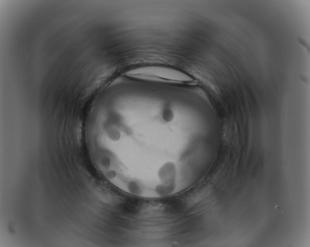 X0000091500206200709131857