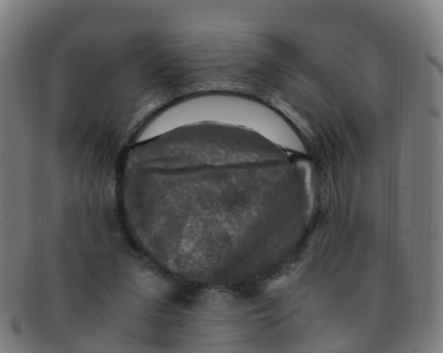 X0000091500207200709131857