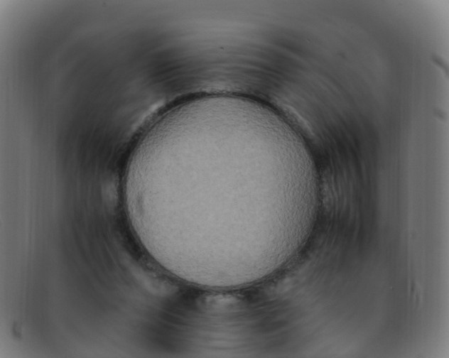 X0000091500208200709131857