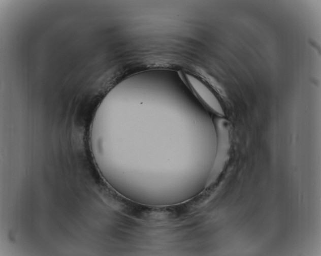 X0000091500209200709131857