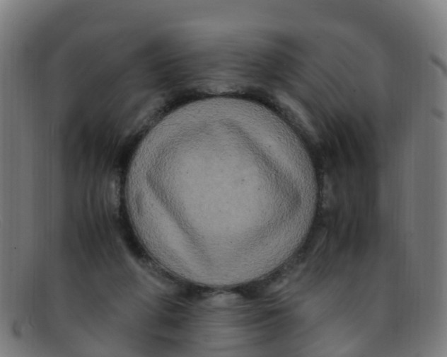 X0000091500210200709131857