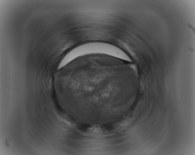 X0000091500211200709131857