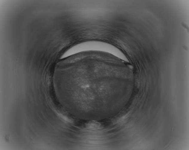 X0000091500215200709131857