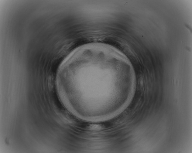 X0000091500218200709131857