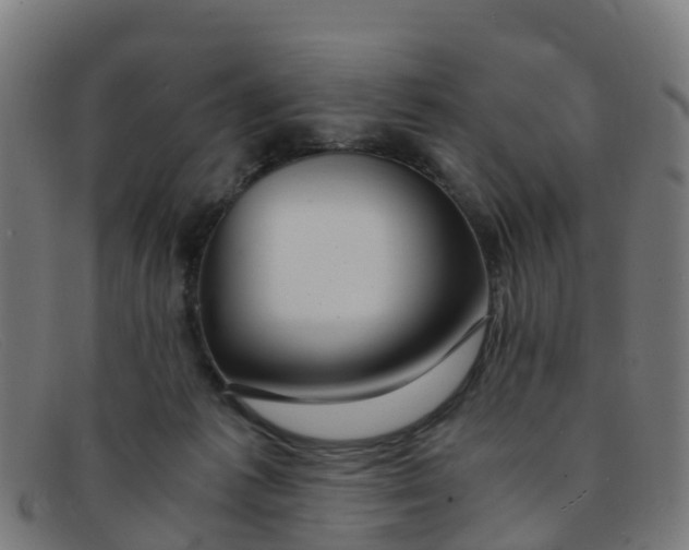 X0000091500221200709131857