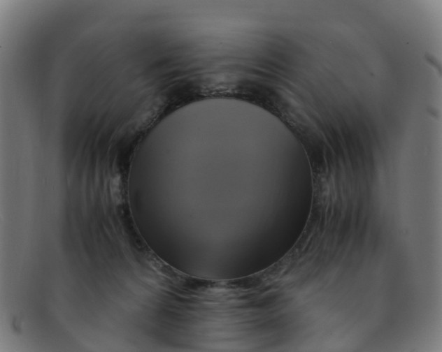 X0000091500224200709131856