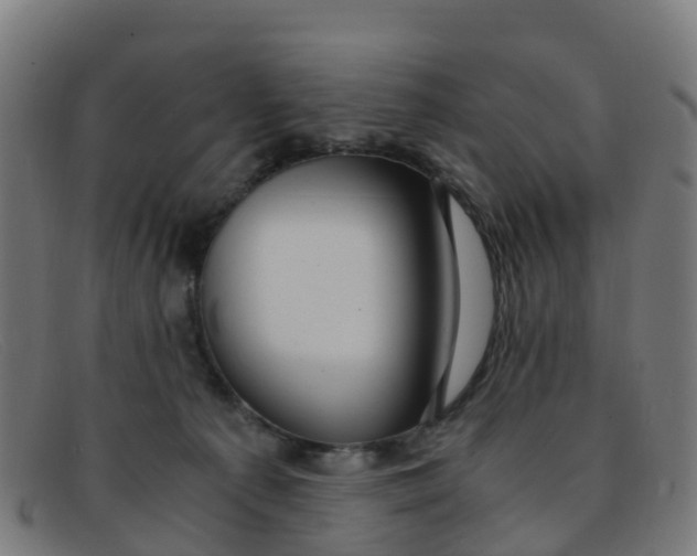 X0000091500225200709131856