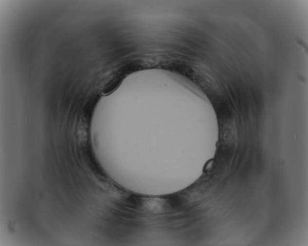 X0000091500226200709131856