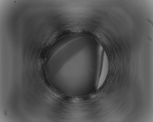 X0000091500229200709131856