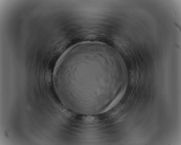 X0000091500230200709131856