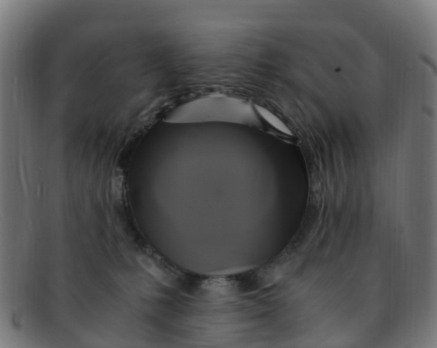 X0000091500231200709131856