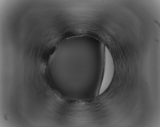 X0000091500235200709131856