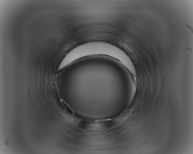 X0000091500237200709131856