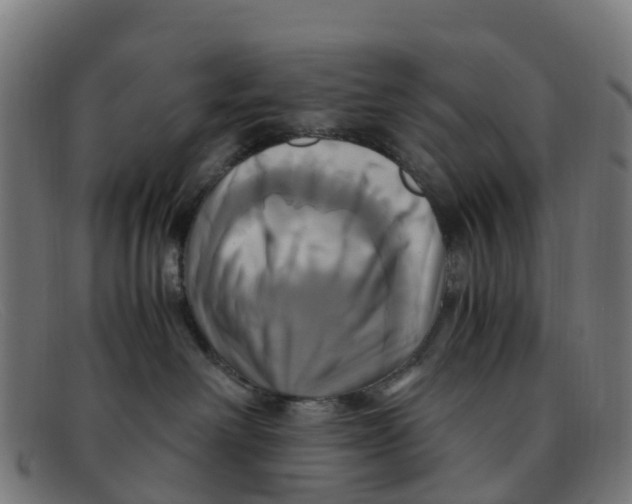 X0000091500238200709131856