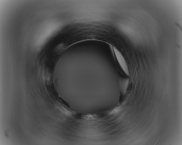 X0000091500239200709131856