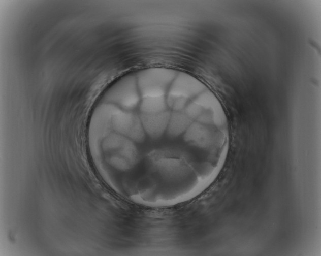 X0000091500241200709131856