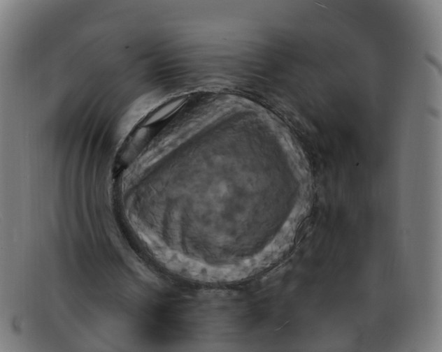 X0000091500242200709131856