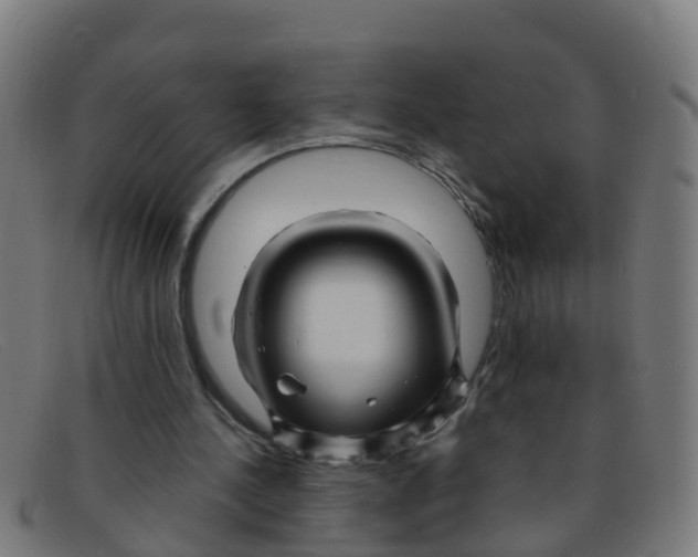 X0000091500244200709131856