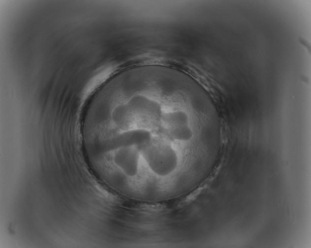 X0000091500245200709131856