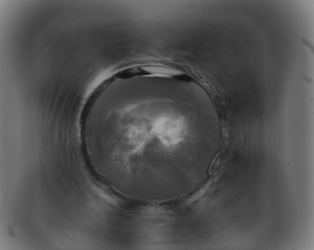 X0000091500246200709131856