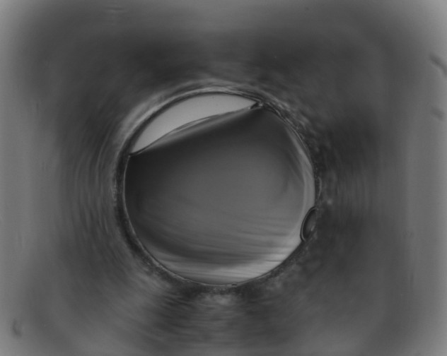 X0000091500247200709131856