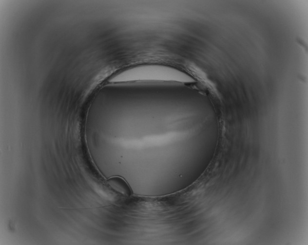 X0000091500250200709131856