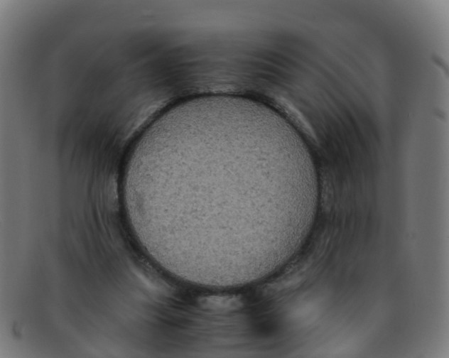 X0000091500251200709131856