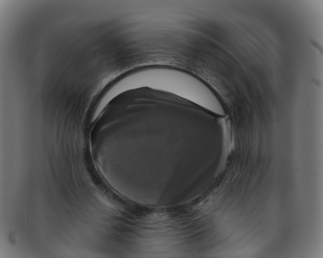 X0000091500252200709131856