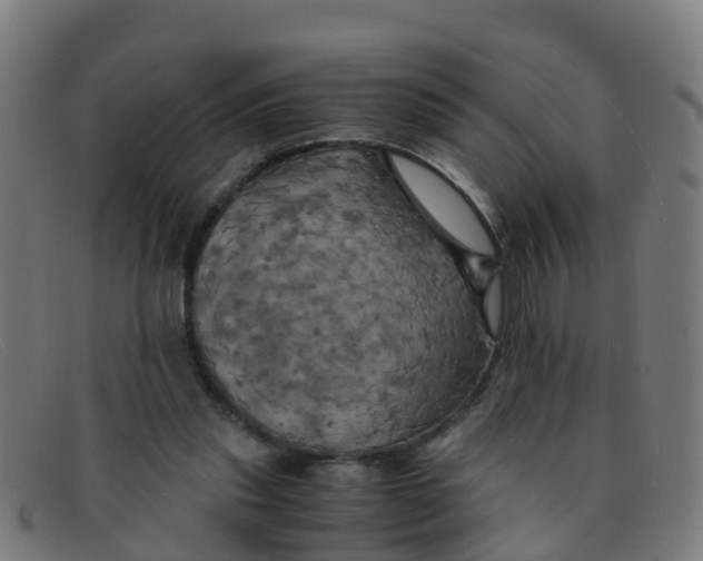 X0000091500253200709131856