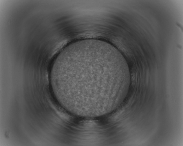 X0000091500254200709131856