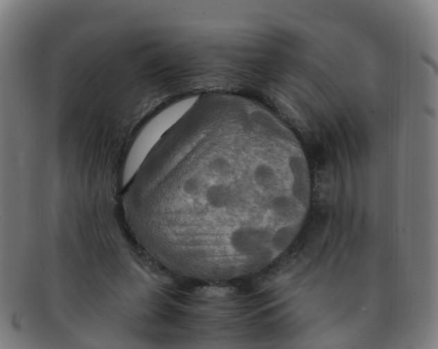 X0000091500255200709131856