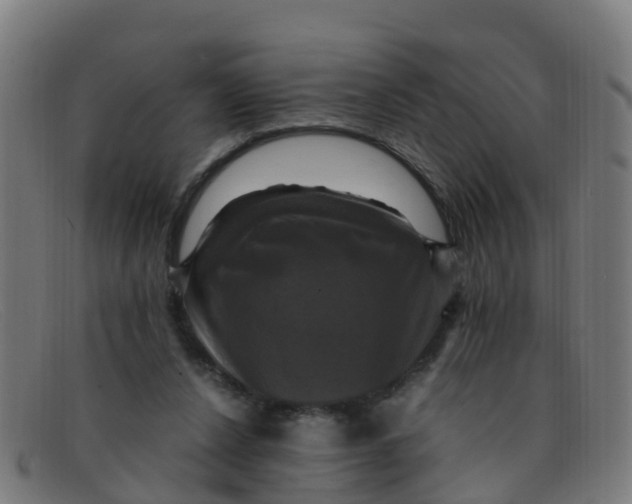 X0000091500256200709131856