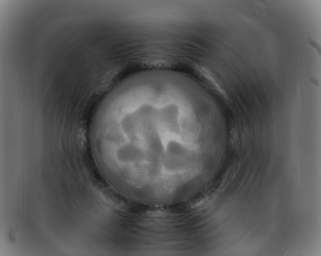 X0000091500259200709131856