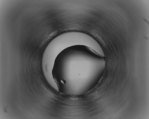 X0000091500260200709131856