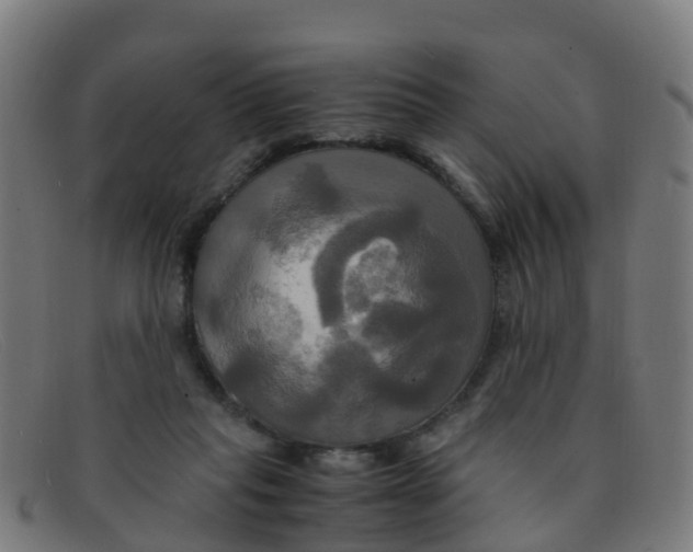 X0000091500261200709131856