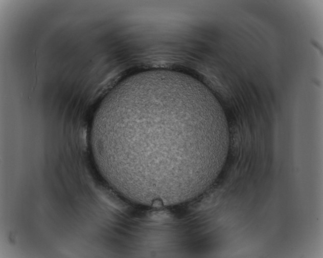 X0000091500262200709131856