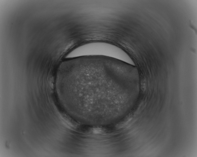 X0000091500264200709131856