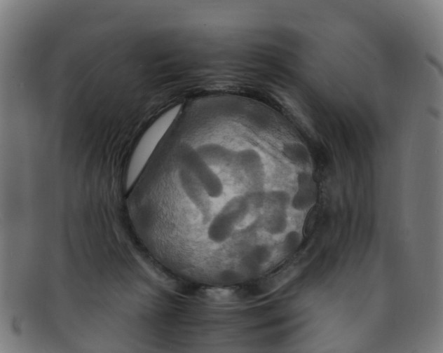 X0000091500265200709131856