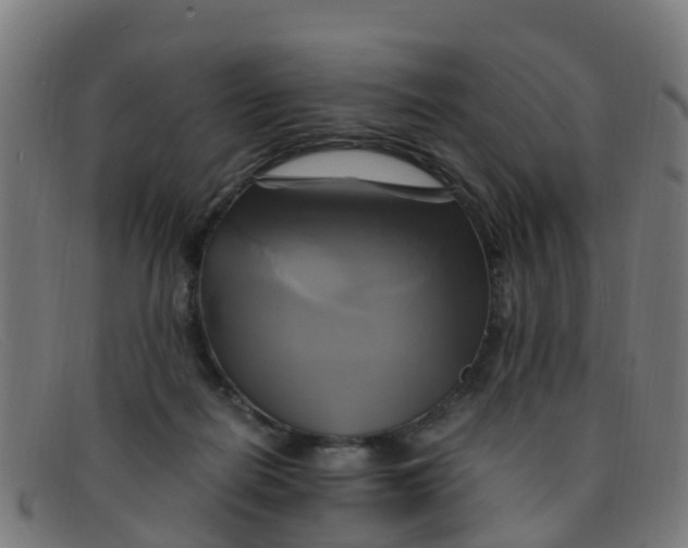 X0000091500266200709131856