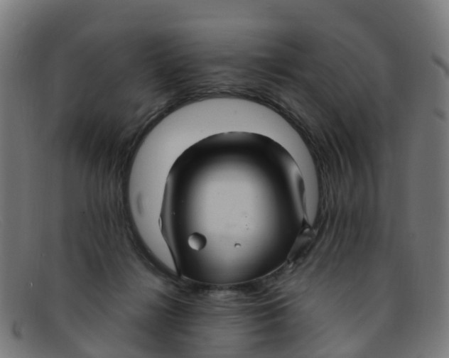 X0000091500268200709131856