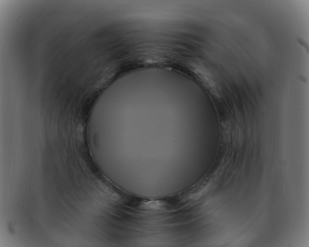 X0000091500269200709131856