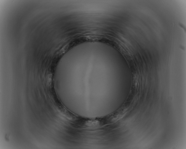 X0000091500271200709131856