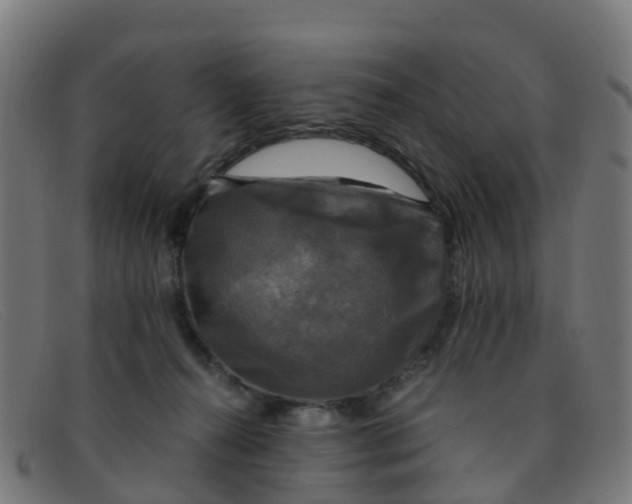 X0000091500272200709131856