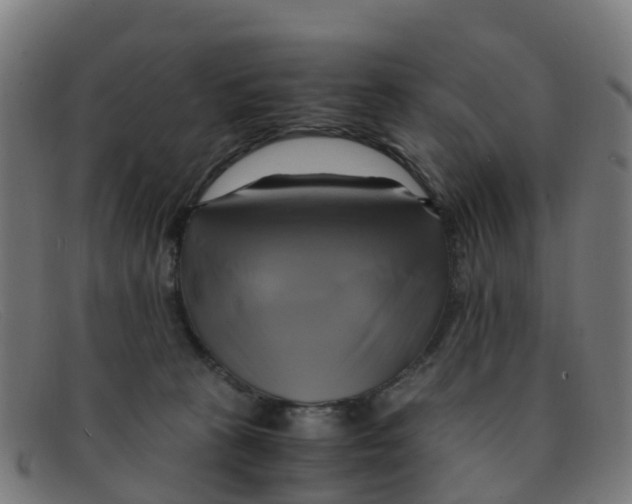 X0000091500273200709131856