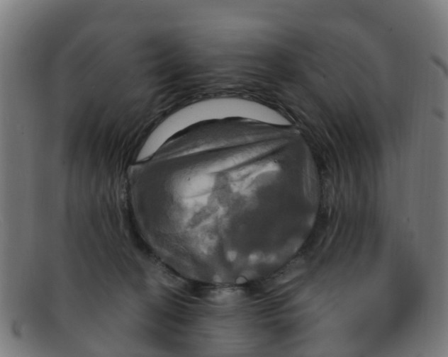 X0000091500274200709131856