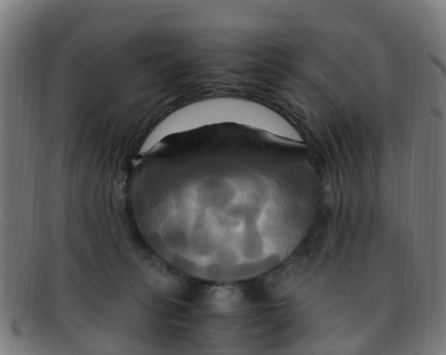 X0000091500275200709131856